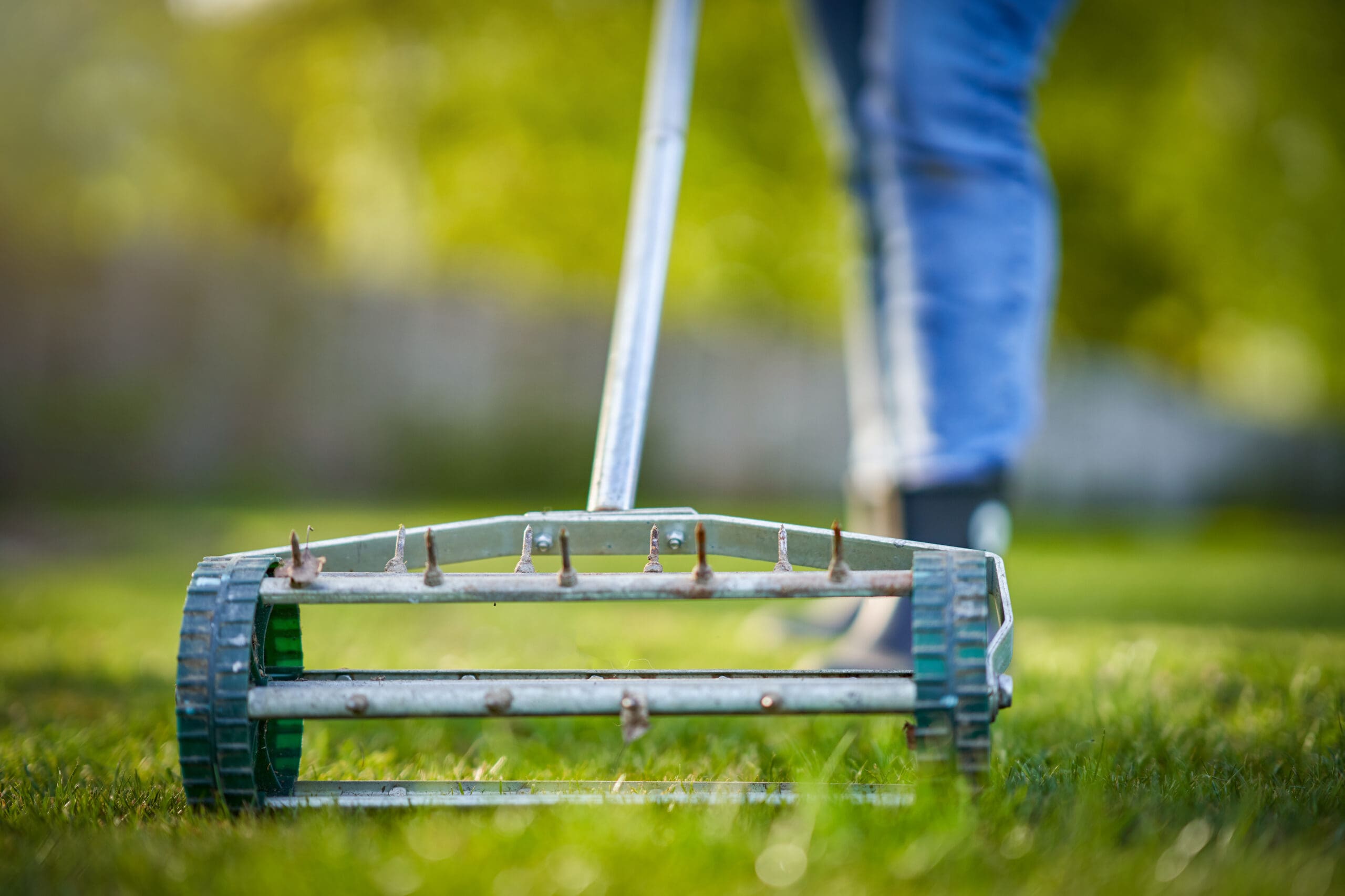 Picture of grass aerator on the green lawn